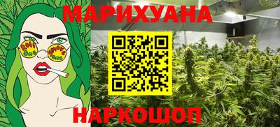 гидра Краснознаменск
